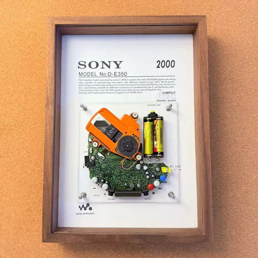 DiscEcho CD-Player-Rahmen DE350